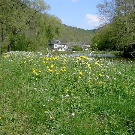 Pulgersmühle Daire Morsdorf Dış mekan fotoğraf